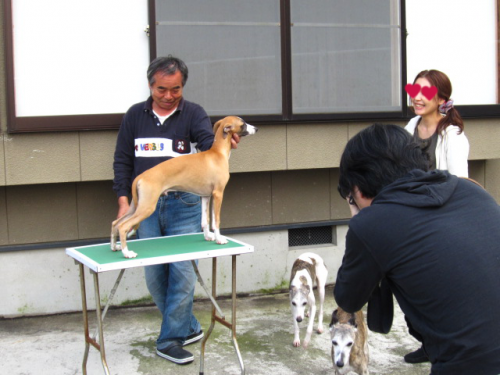 b0268228_10432251.png