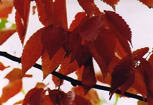 b0268228_10581894.jpg
