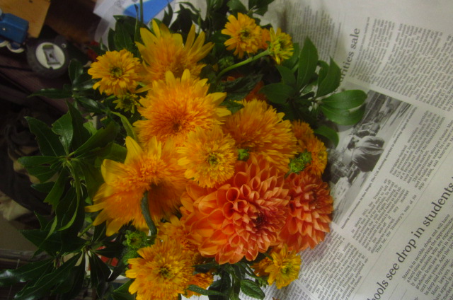 c0102228_2062727.jpg