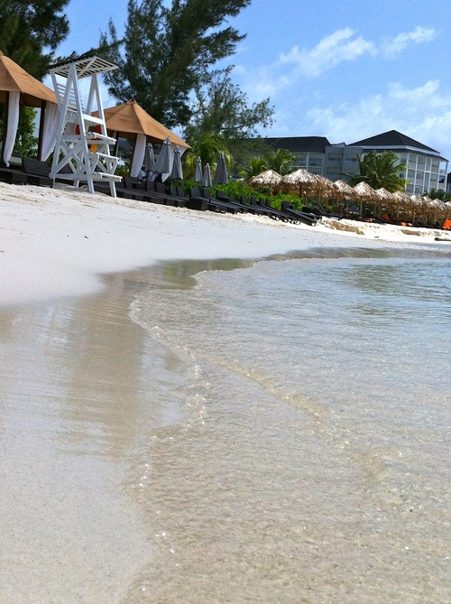 f0169328_13391967.jpg