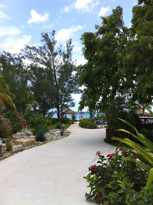 f0169328_1340249.jpg