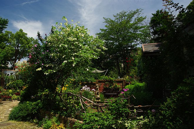 b0134829_14344838.jpg