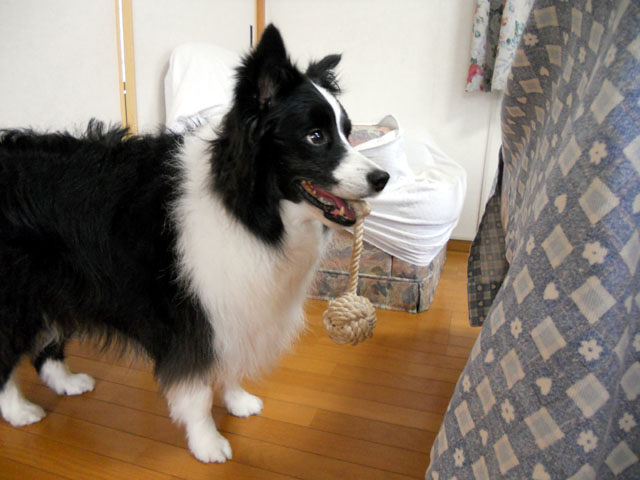 d0059230_9414699.jpg