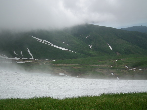 f0118332_8534079.jpg