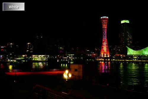 c0227134_1554949.jpg