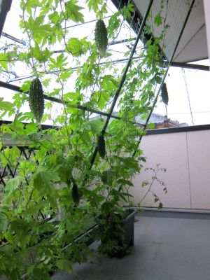 b0178339_18264667.jpg