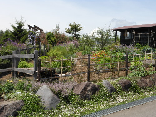 c0195439_23454569.jpg