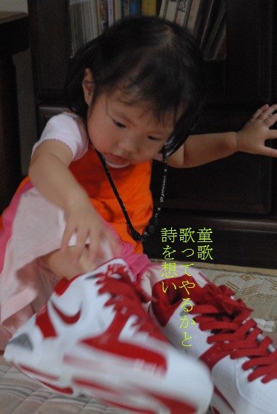 d0098541_17262070.jpg