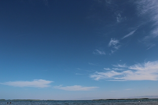 d0195041_0374431.jpg