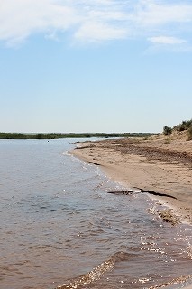 d0195041_0382070.jpg