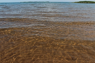 d0195041_038645.jpg