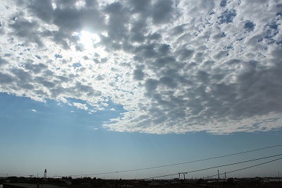 d0195041_1233014.jpg