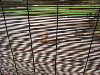 a0054948_22205660.jpg