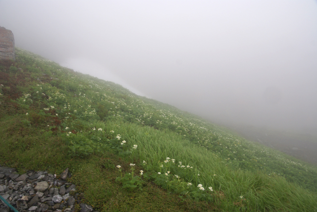 f0214649_714317.jpg