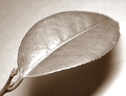 b0254058_6321125.jpg