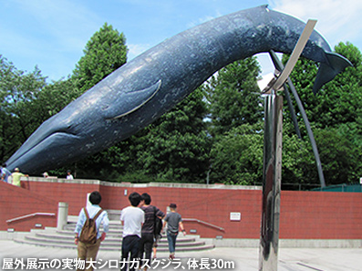 c0167961_18283520.jpg
