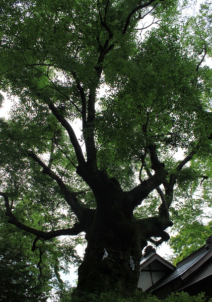 f0230777_21162887.jpg