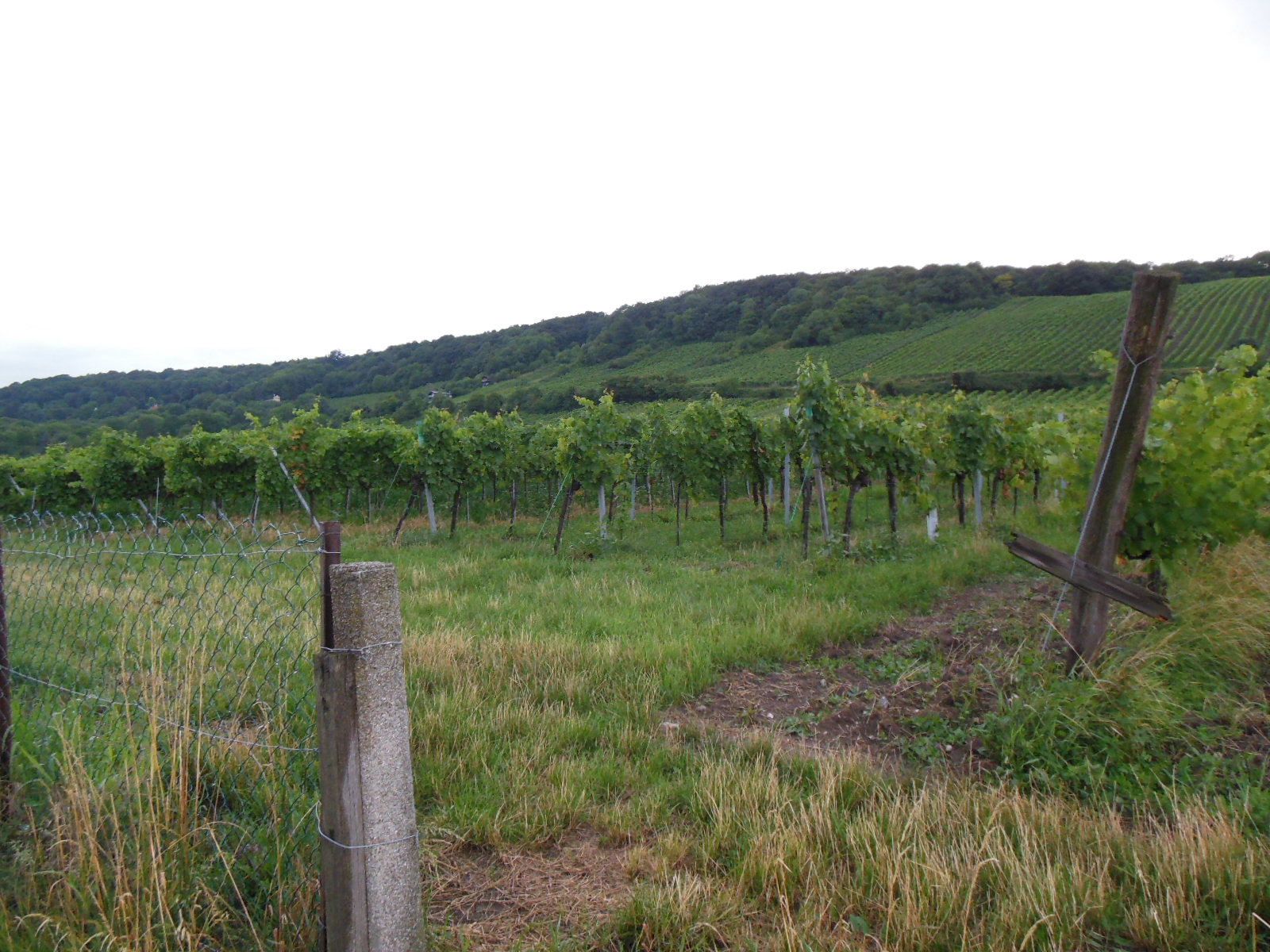 a0080183_448263.jpg