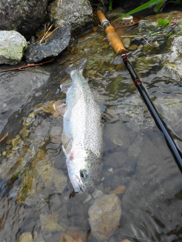 e0202393_10211417.jpg