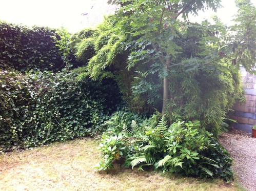 d0196594_1939154.jpg