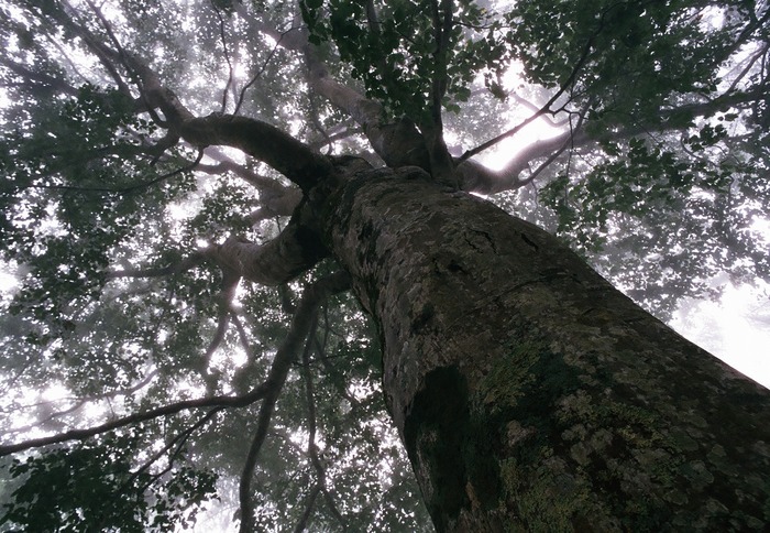 f0220698_13265257.jpg
