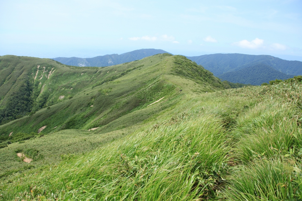 b0050305_12131467.jpg