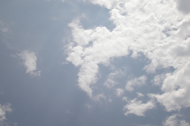 e0250807_23375945.jpg