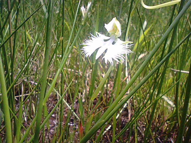 f0231709_059260.jpg