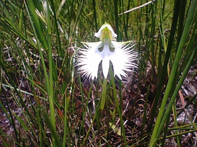 f0231709_059512.jpg