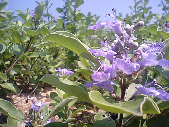 f0231709_13517.jpg