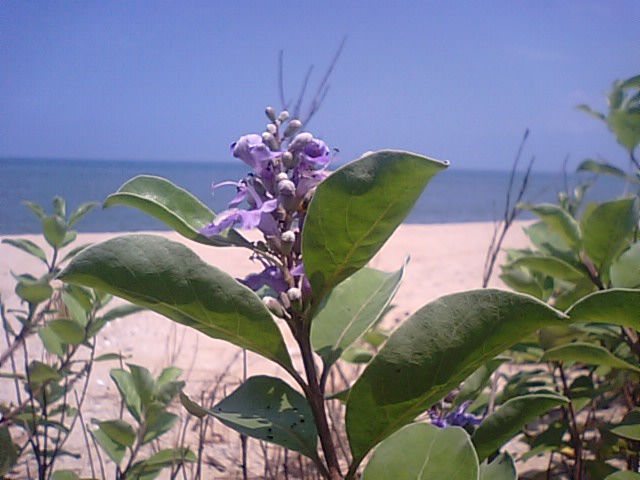 f0231709_145060.jpg