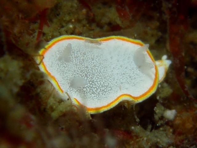 d0175710_1914416.jpg