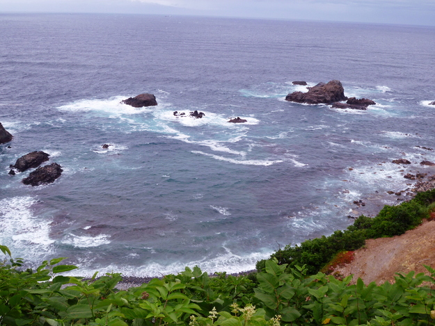 d0170615_742937.jpg