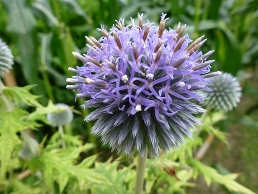 c0042418_918094.jpg