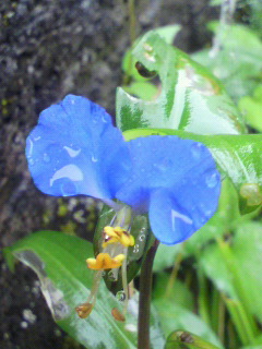 f0036223_959053.jpg
