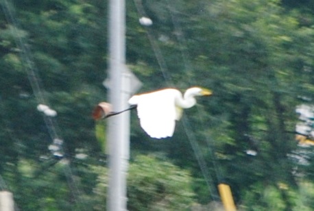 c0039924_20471178.jpg