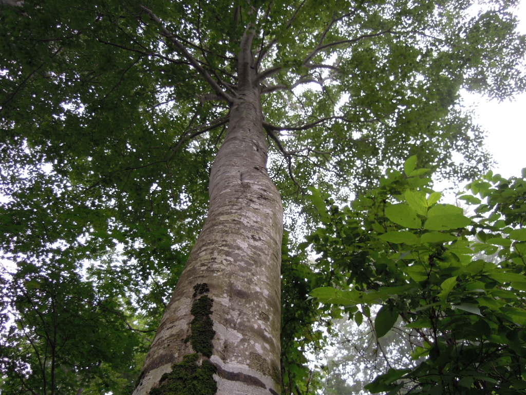 e0147226_22311989.jpg
