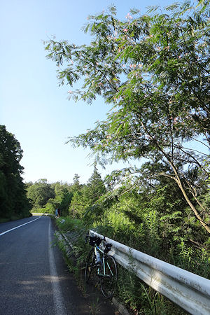 f0007926_15455352.jpg
