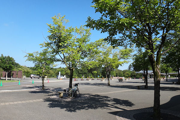 f0007926_15474496.jpg