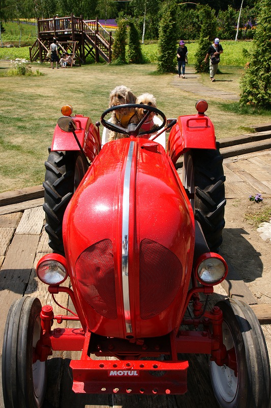 f0046128_20532769.jpg