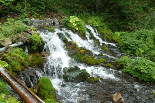 e0033229_222728100.jpg
