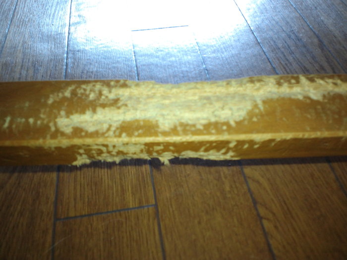 c0236632_23441561.jpg