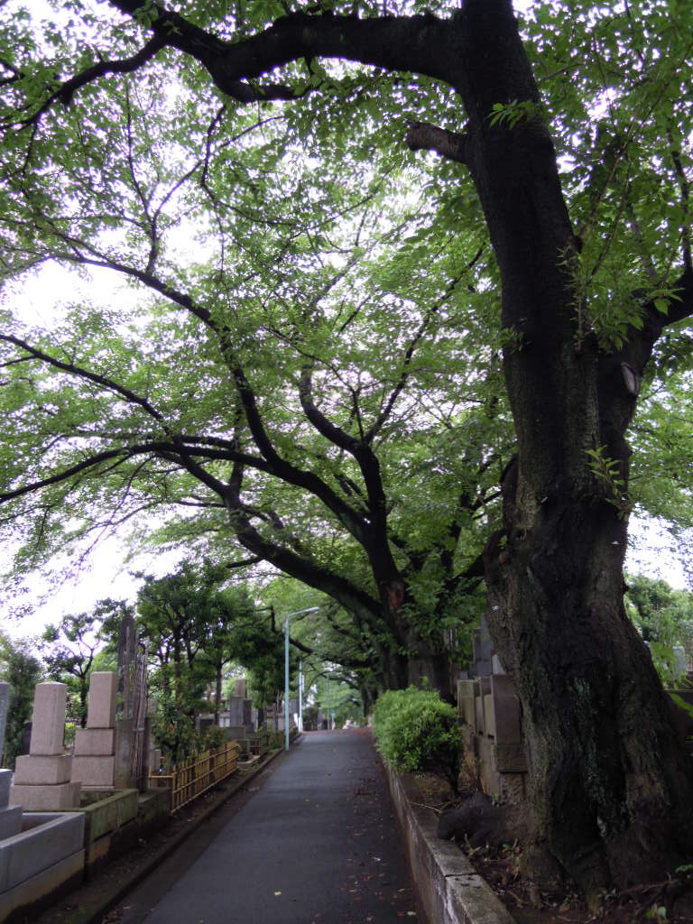 e0081334_21385130.jpg