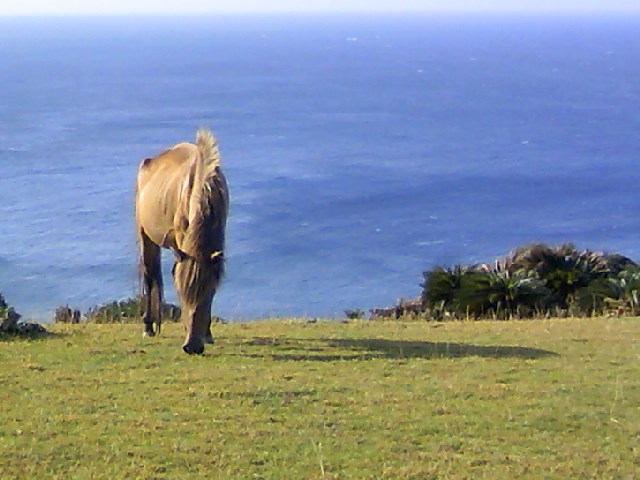 a0167335_20145279.jpg