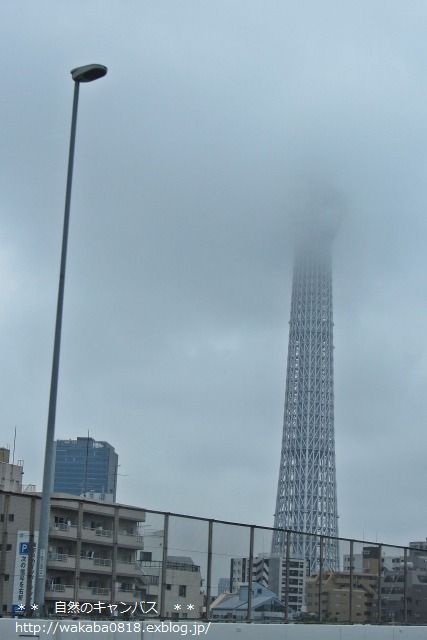 e0052135_21405317.jpg