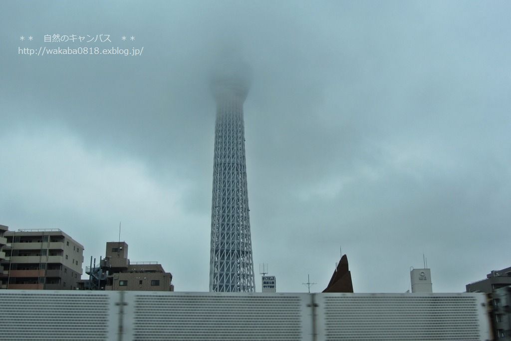 e0052135_21432829.jpg