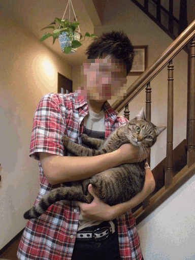 c0136736_8133352.gif
