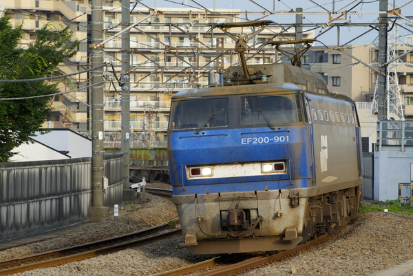 b0103139_5332469.jpg