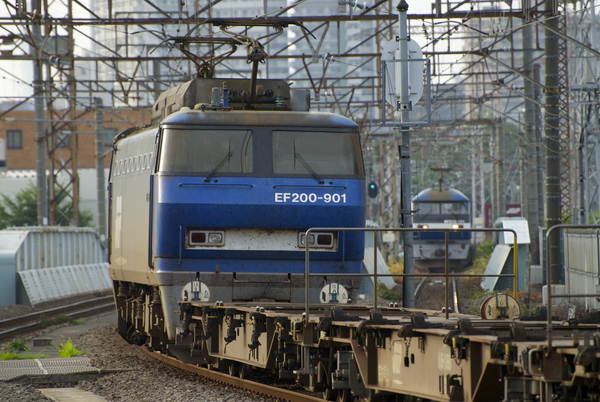 b0103139_534262.jpg