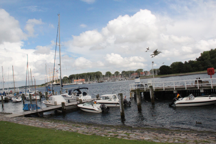 c0153740_4194999.jpg